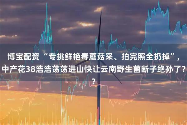 博宝配资 “专挑鲜艳毒蘑菇采、拍完照全扔掉”，中产花38浩浩荡荡进山快让云南野生菌断子绝孙了？